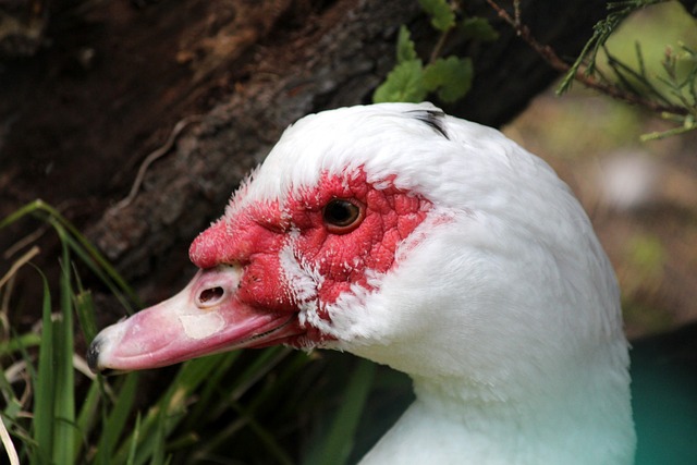 在场边看到 在场边看到